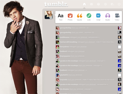 Harry Styles Dashboard Theme {7}