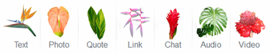 tumblr tropical plants/flowers post icons