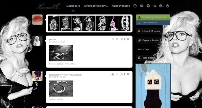 Lady Gaga tumblr dashboard 8