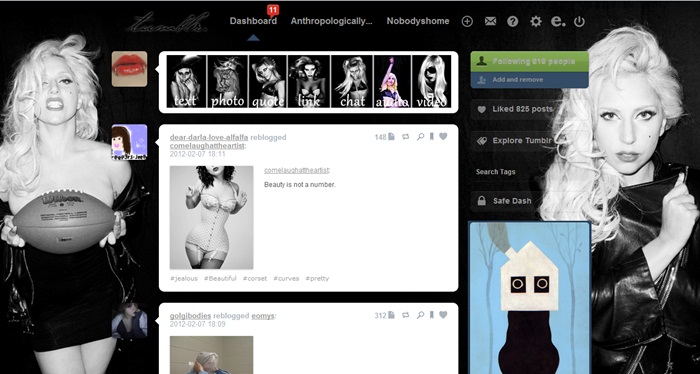 Lady Gaga tumblr dashboard 9