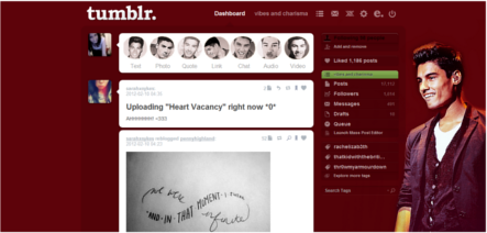 Siva Kaneswaran dashboard theme.