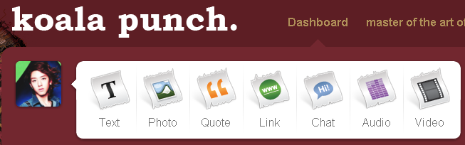Koala Punch Tumblr Logo