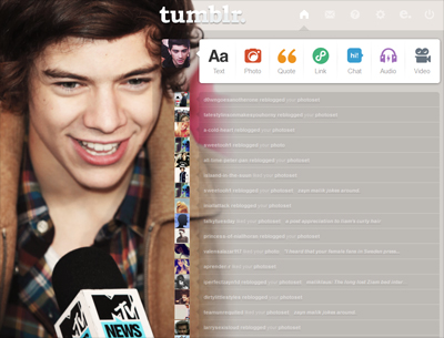 Harry Styles Dashboard Theme {6}