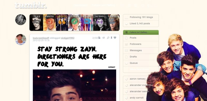 One Direction - Tumblr Dashboard Theme
