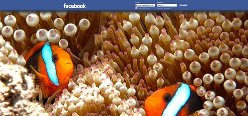 Nemo Facebook Theme by a.ashkan