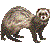 Ferret Cursor 6