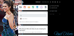 Nina Dashboard Theme