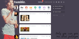 Louis Tomlinson Dashboard Theme