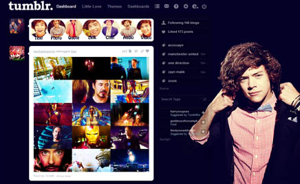 Harry Styles (fabulous) dashboard