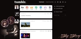 Demi Lovato Dashboard Theme!!!