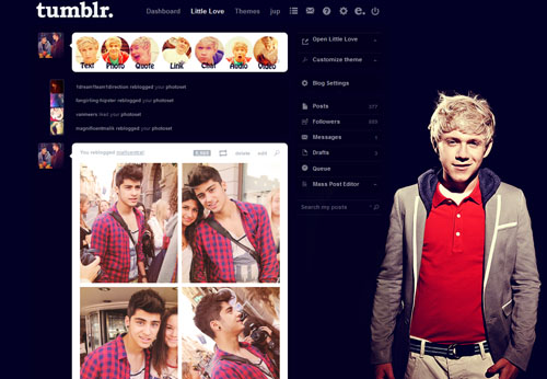 Niall Horan (fabulous) dashboard