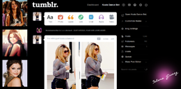 Selena Gomez Dash theme