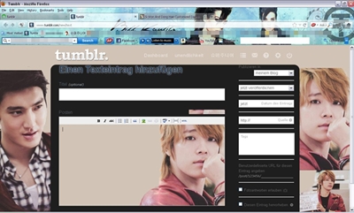 Si Won And Dong Hae Customized Dashboard