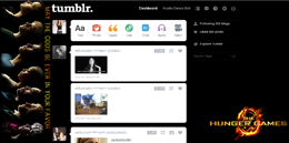Hunger Games Dashboard Theme