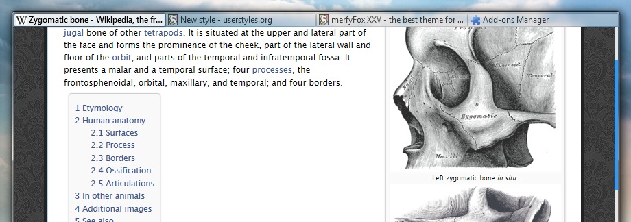 merfyBar - the lightweight, customizable scrollbar