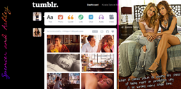 Spashley Dashboard Theme!