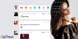 Shay Mitchell dashboard theme