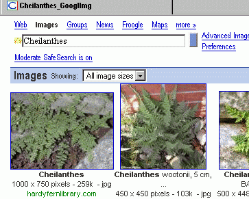 Web&ImgGoogleWastLogoHid09Jul06