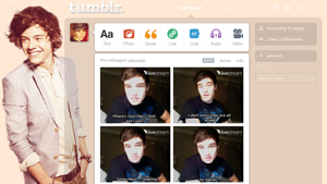 Harry Styles of One Direction Dash