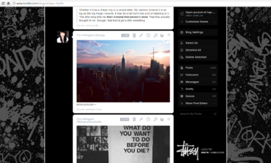 STUSSY - Tumblr Dashboard Theme