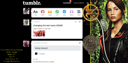 The Hunger Games: Katniss Dashboard Theme