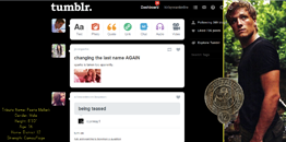 The Hunger Games: Peeta Dashboard Theme
