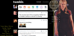 The Hunger Games: Glimmer Dashboard Theme