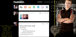 The Hunger Games: Cato Dashboard Theme