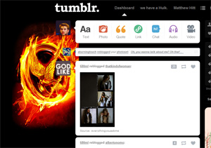 Tumblr dashboard: The Hunger Games