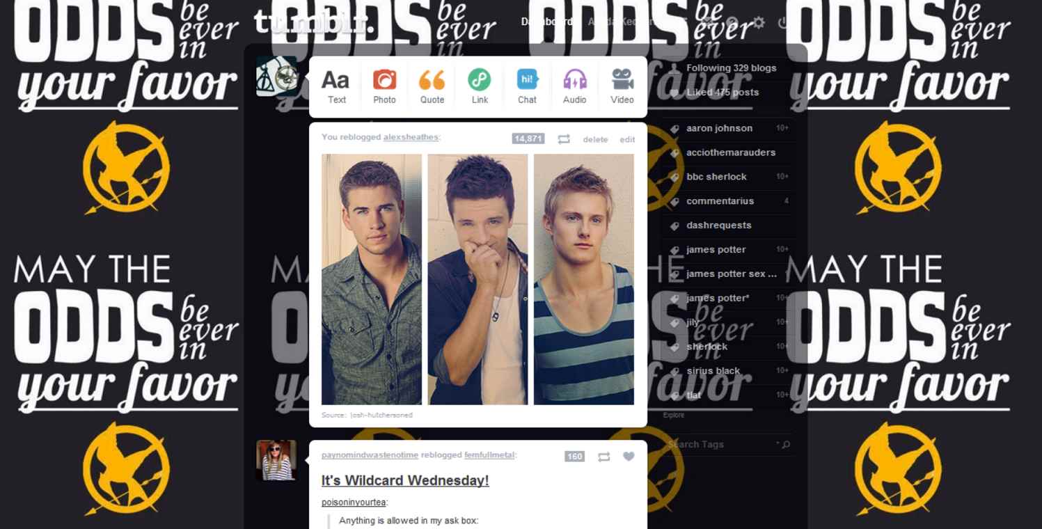 The Hunger Games - May The Odds