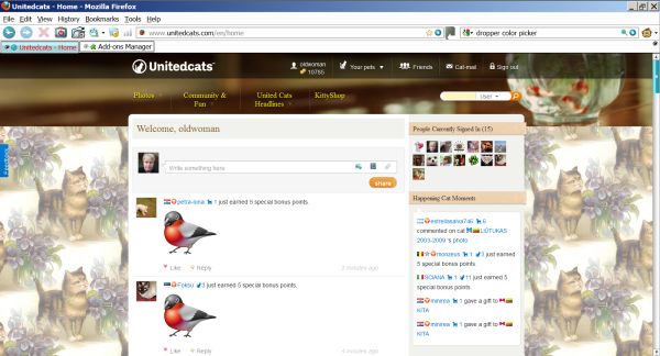 Unitedcats Kitty With Violets Background