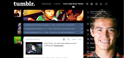 Erick Torres Cubo Dashboard Theme + Menu