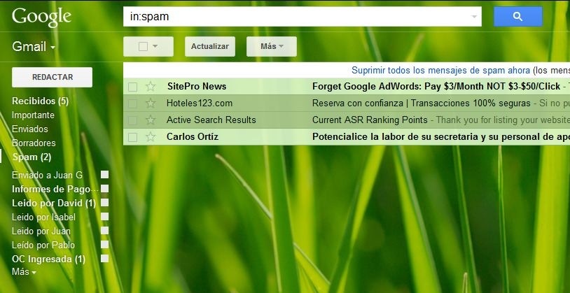 Real Gmail Turf Theme