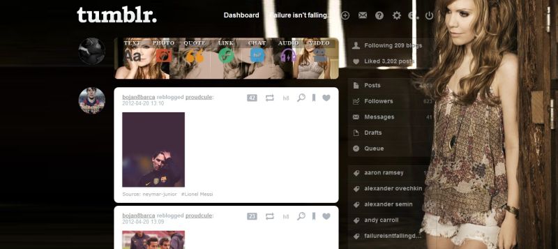 Alison Krauss Tumblr Dashboard Theme