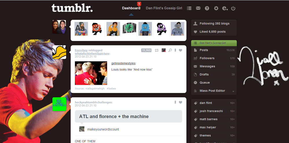 Niall Horan (tumblr dashboard theme)