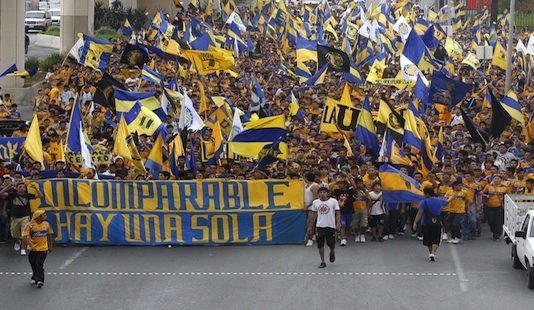 tigres