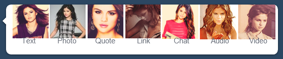 Selena Gomez - Tumblr Dashboard Icons Theme
