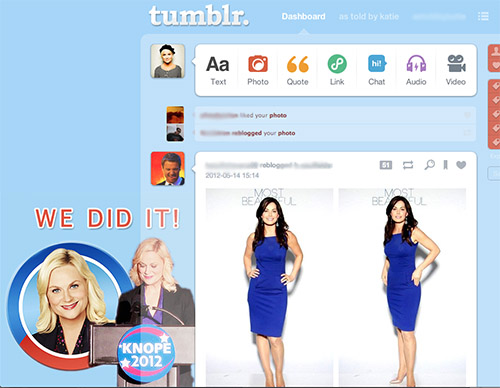 Leslie Knope 2012 - We Did It