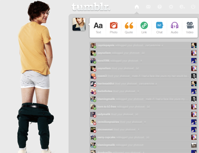 Harry Styles Dashboard Theme {5}