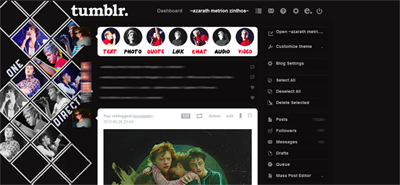 TUMBLR - ONE DIRECTION LIVE CONCERT THEME