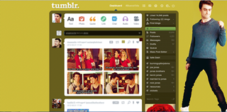 Daniel Radcliffe Dashboard Theme 4