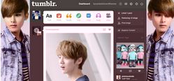 Kpop Themes; Ryeowook