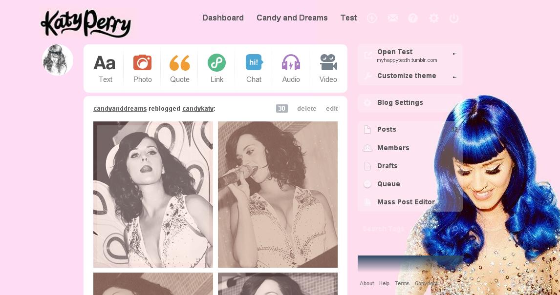 Katy Perry Dashboard to tumblr .2