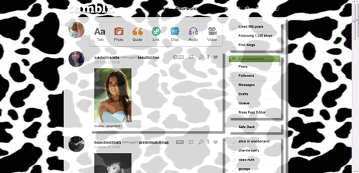 Animal Print Dash Theme