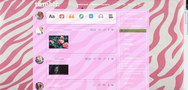 Pink Zebra Dash Theme