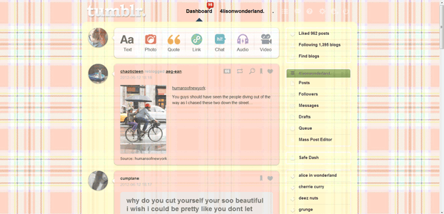 Pink Plaid Theme