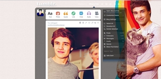 Liam Payne Dashboard Theme
