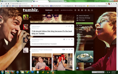 Kendall Schmidt - Niall Horan - Tumblr Theme