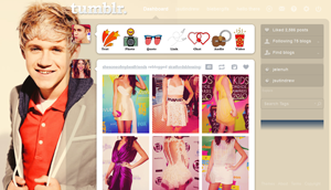 Swaggy Niall Horan Dashboard