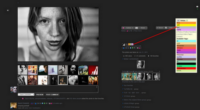 Flickr WideScreen - (GM) - Flickr Functional Suite